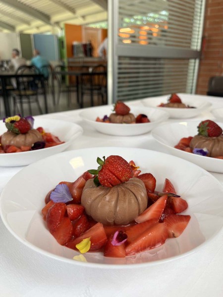 Piatto di dessert al cioccolato decorato con fragole e petali di fiori